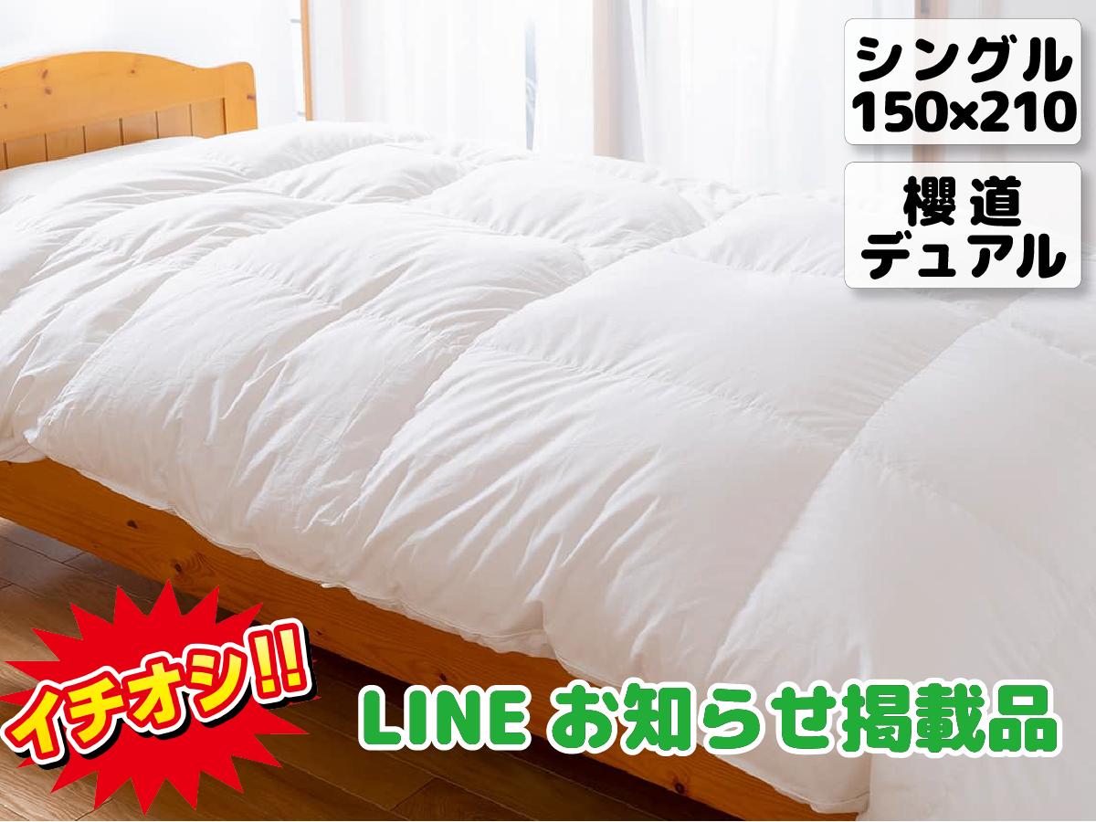 アウトレット124/限定3枚】ベッド専用羽毛布団【イングランドダック(93