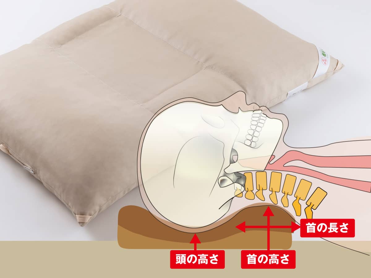 櫻道ふとん店のオーダーメード枕　測定枕