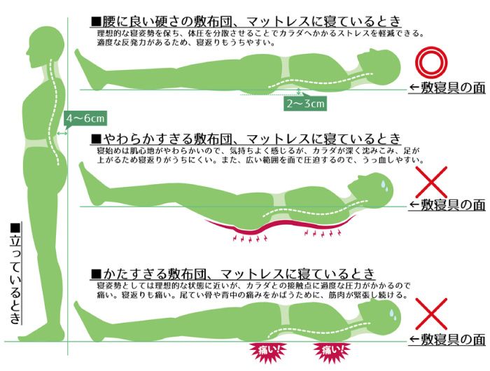 敷布団が腰痛対策になるって ほんとですか コラム 教えて布団の達人