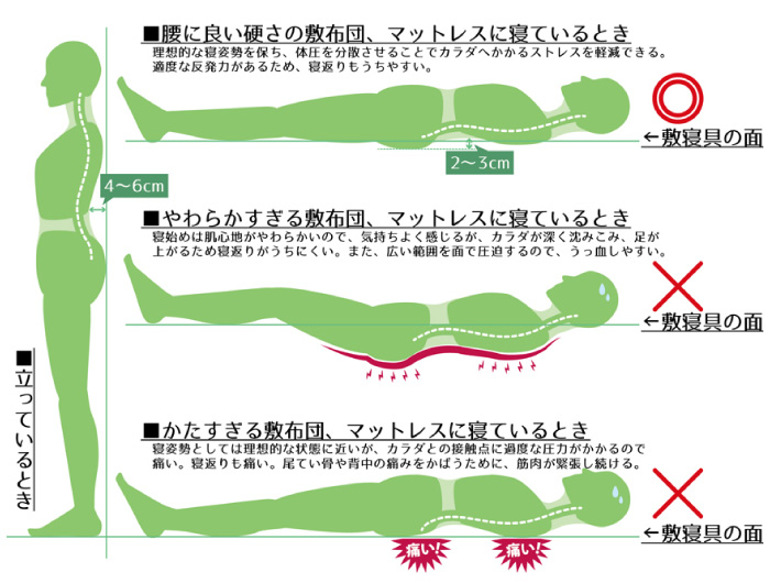 硬めの敷布団・マットレスを使って腰痛対策に寝姿勢をしっかり保ちましょう