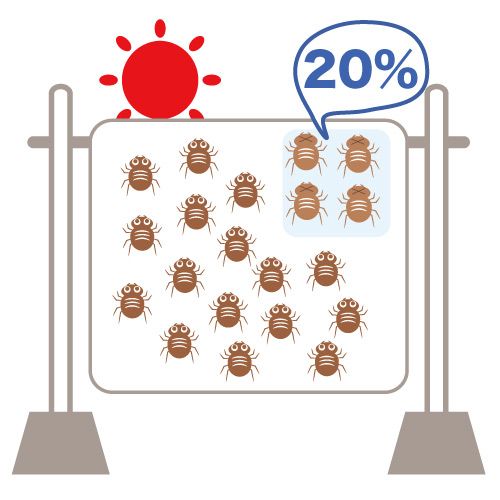 布団を天日干ししてもダニは死滅しません。ダニが死滅する60℃まで温度あげてダニ対策をします。