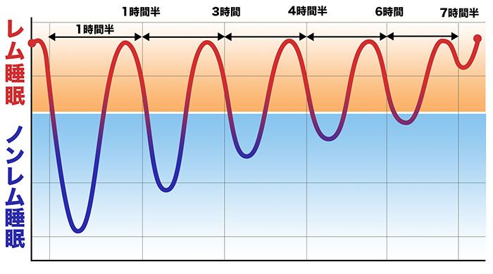 精神の成長も硬い敷布団での仰向け寝で、脳が休める眠りが大事です。