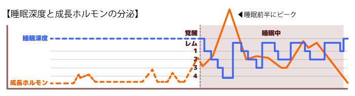 眠りの質を上げると人生や有用なスタイル、精神にも関係たあるため、子供用の敷布団は眠りを深くとれる敷布団がおすすめです