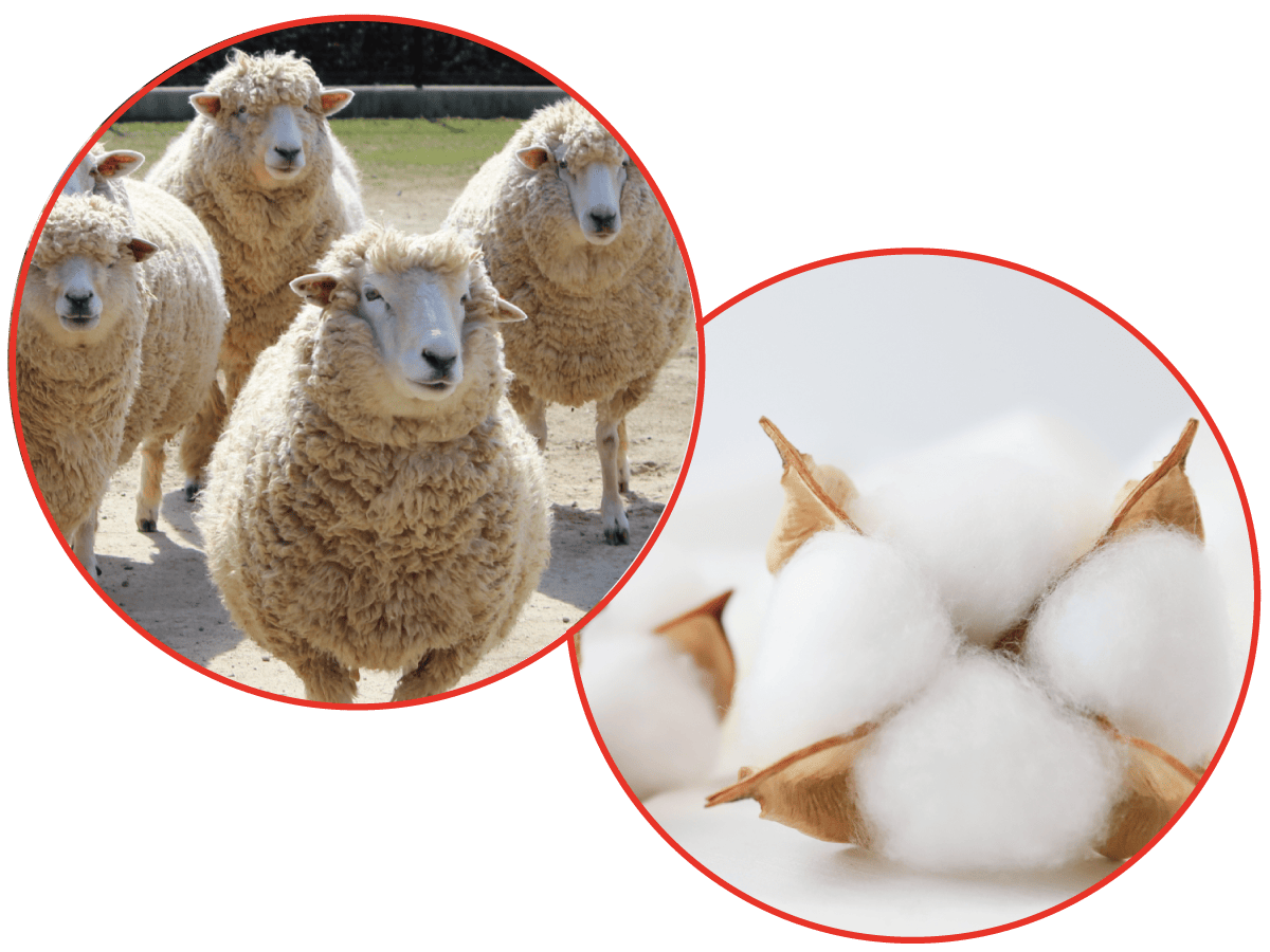 天然素材、羊毛、木綿の敷布団