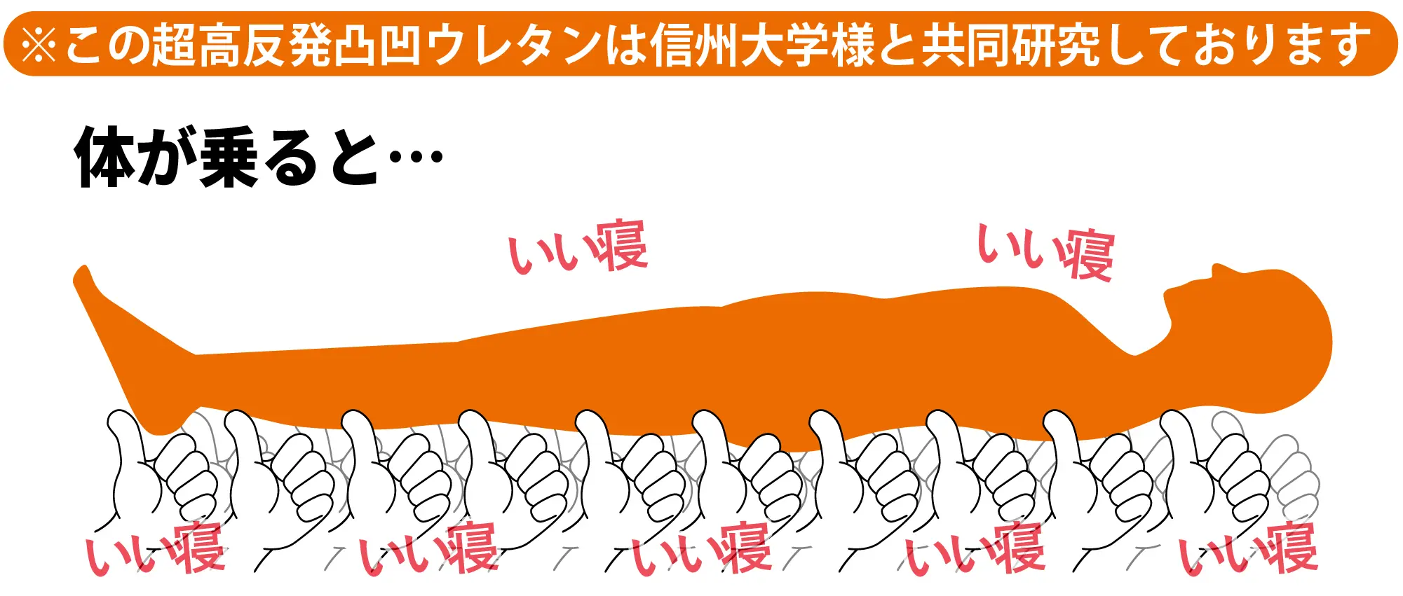 この超高反発凸凹ウレタンは信州大学様と共同研究しております。体が乗ると...いい寝