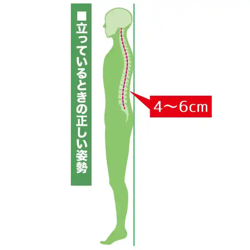 リラックアーチを説明した図