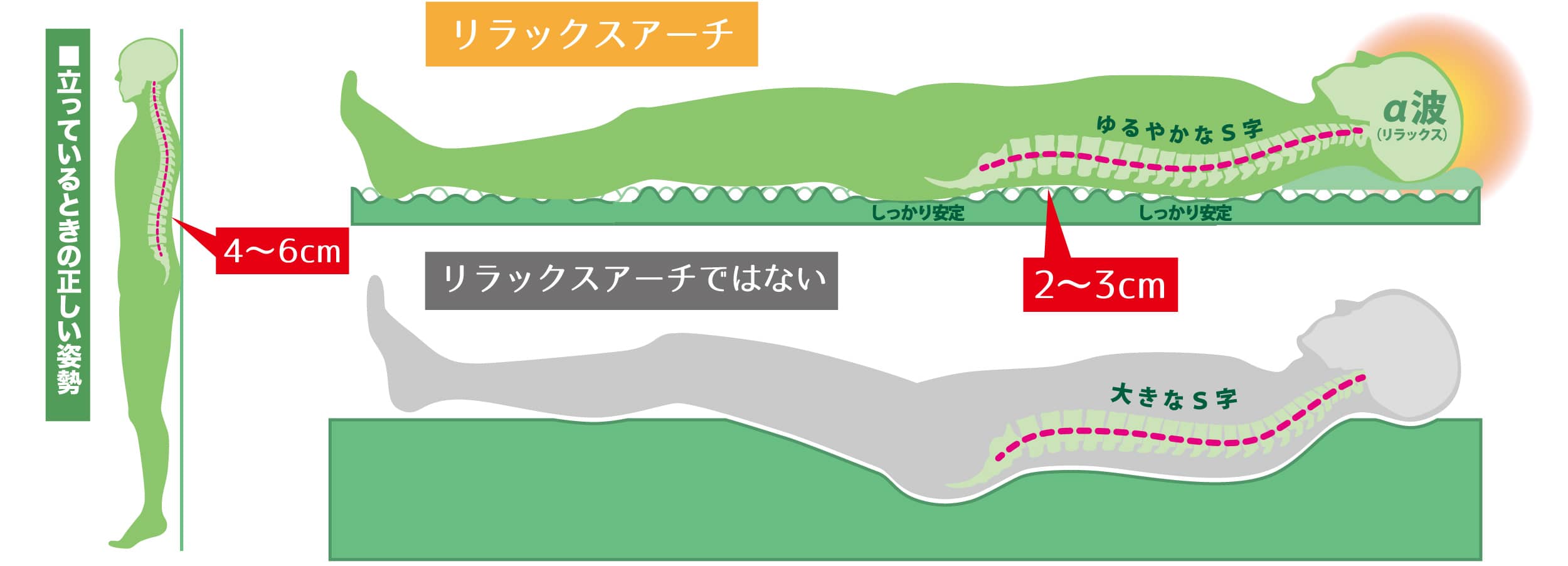 超高反発凸凹ウレタンで作るリラックスした姿勢、仰向けに寝た時の睡眠に最適な身体のアーチ「リラックスアーチ」