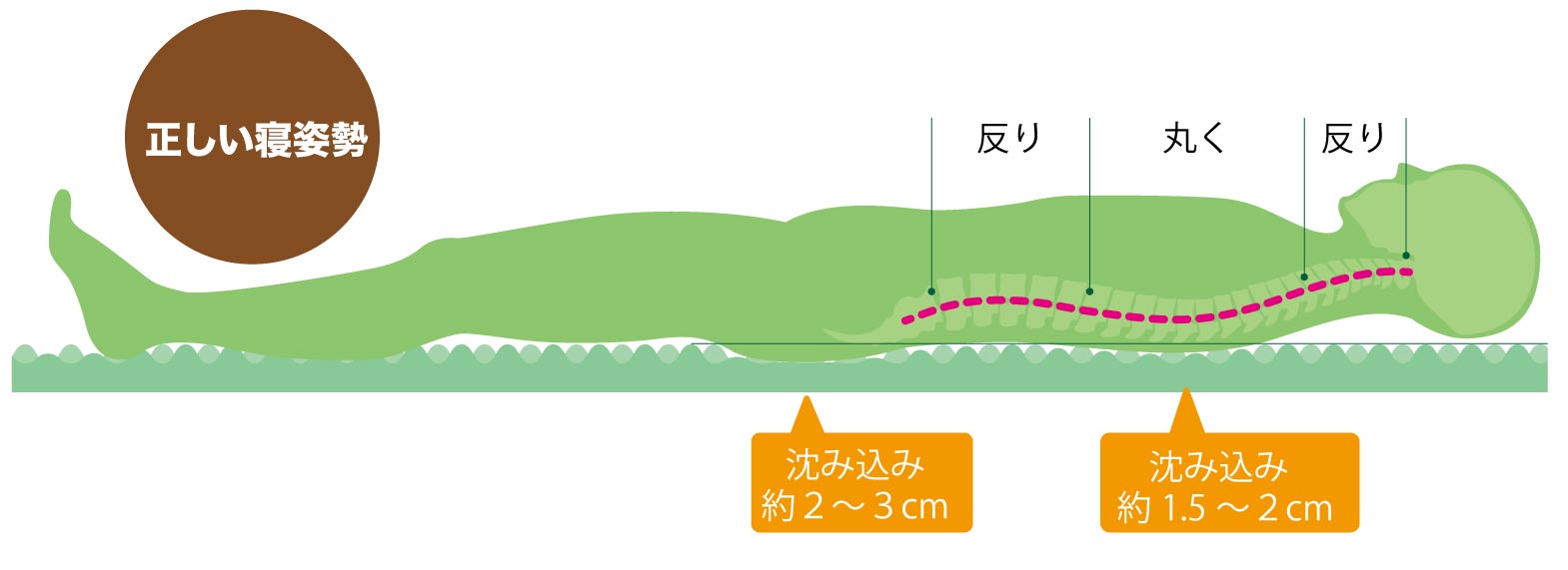 理想の羽毛布団