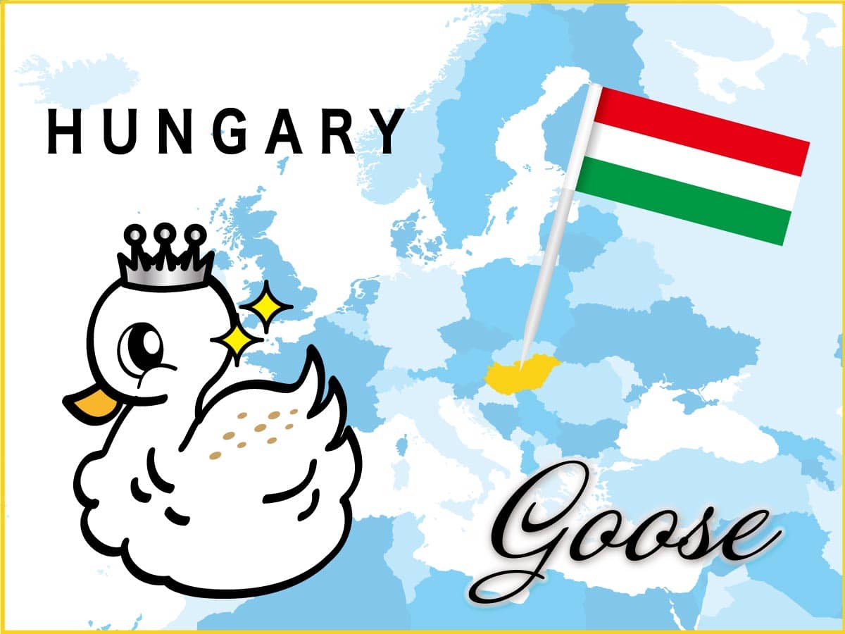 羽毛布団の原料のハンガリーシルバーグースの原産地ハンガリー